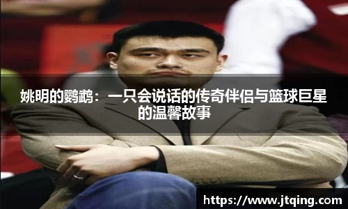 米乐M6官网